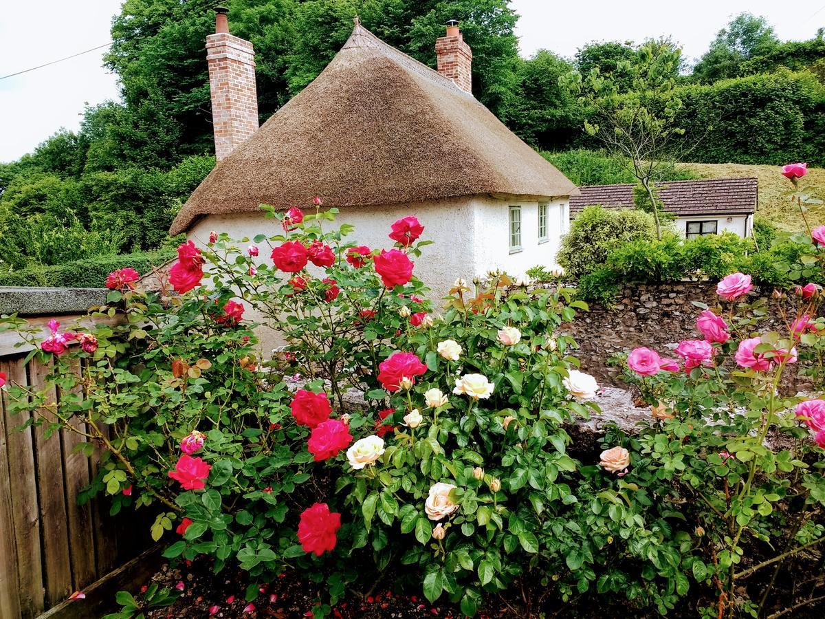 Bed and Breakfast Rose Farm Honiton Exterior foto